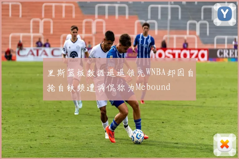 里斯篮板数据遥遥领先WNBA却因自抢自铁频遭调侃称为Mebound