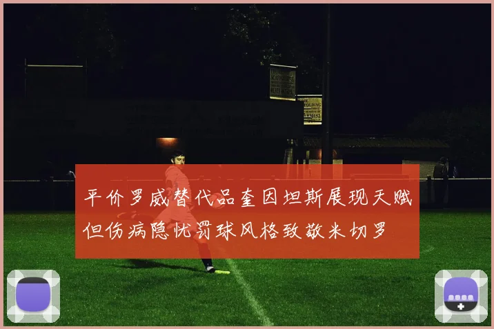 平价罗威替代品奎因坦斯展现天赋但伤病隐忧罚球风格致敬米切罗