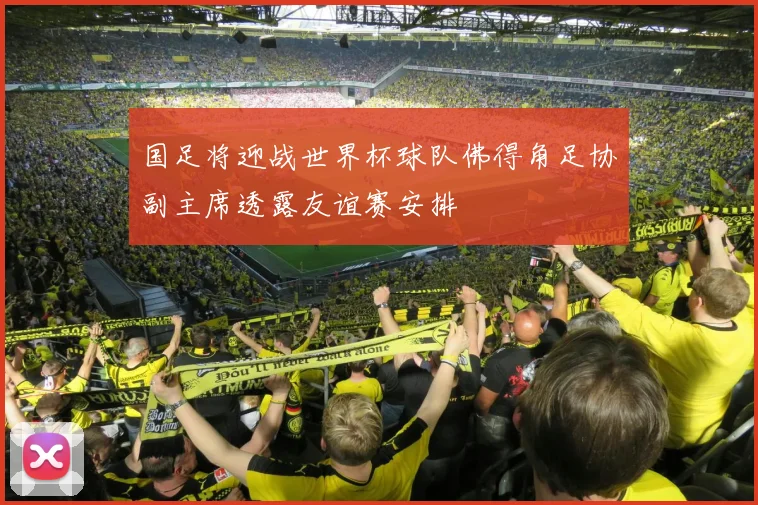 国足将迎战世界杯球队佛得角足协副主席透露友谊赛安排